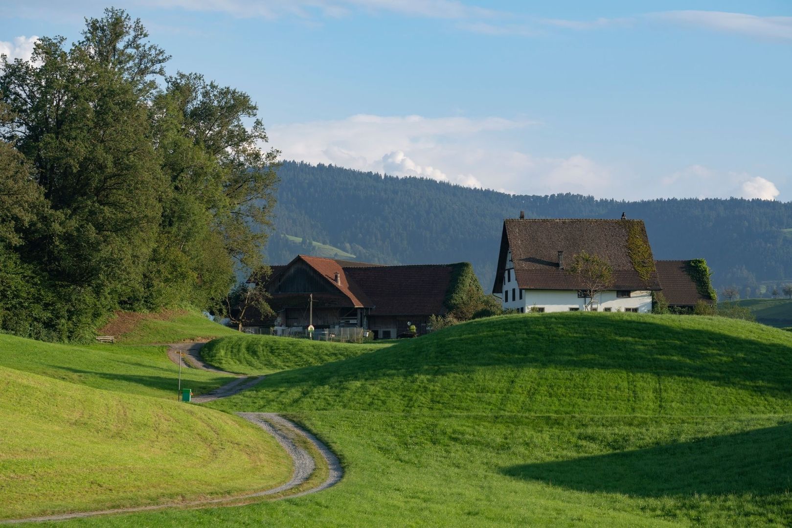 Traditionele boerderijen in een groen landschap aan de bosrand